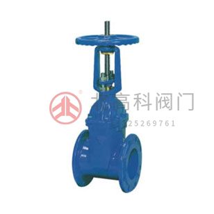 Z45X-10、Z45X-16 彈性座封閘閥
